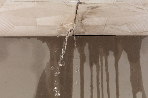 Professional Water Extraction technician working in Dow, IL